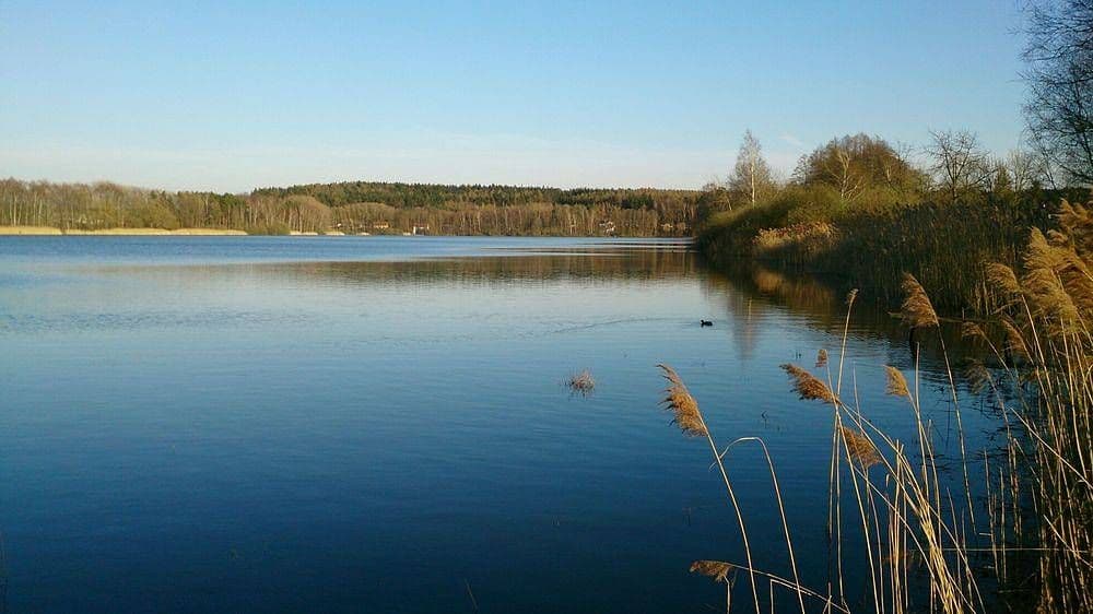 recreational property to rent, 0 m², Červený Kostelec, Královéhradecký Region recreational property to rent, 0 m², Červený Kostelec, Královéhradecký Region