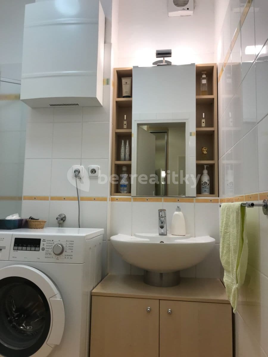 1 bedroom with open-plan kitchen flat to rent, 46 m², Otiskova, Brno, Jihomoravský Region 1 bedroom with open-plan kitchen flat to rent, 46 m², Otiskova, Brno, Jihomoravský Region