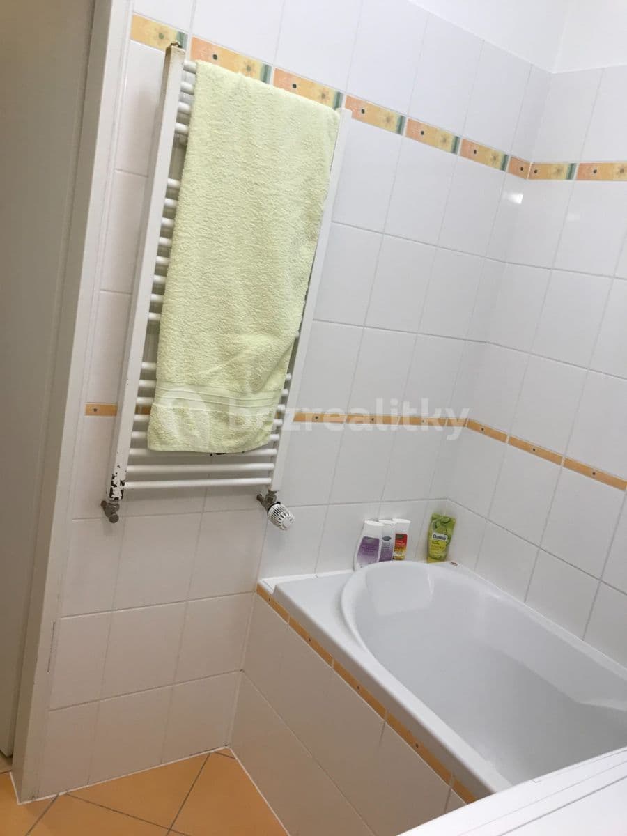 1 bedroom with open-plan kitchen flat to rent, 46 m², Otiskova, Brno, Jihomoravský Region 1 bedroom with open-plan kitchen flat to rent, 46 m², Otiskova, Brno, Jihomoravský Region