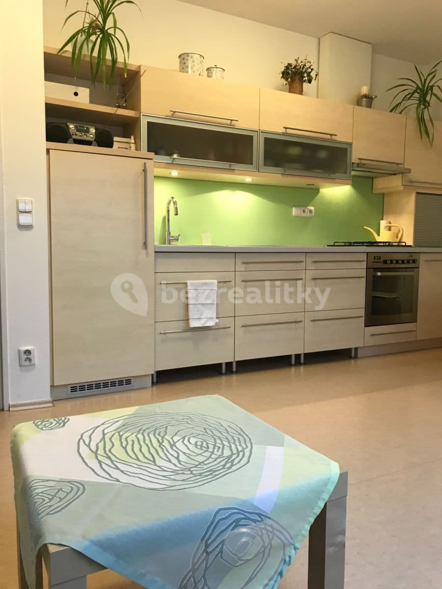 1 bedroom with open-plan kitchen flat to rent, 46 m², Otiskova, Brno, Jihomoravský Region 1 bedroom with open-plan kitchen flat to rent, 46 m², Otiskova, Brno, Jihomoravský Region