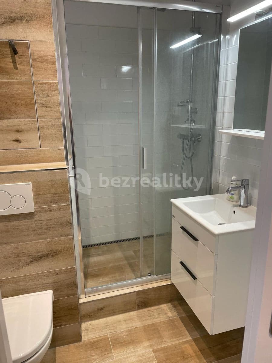 1 bedroom with open-plan kitchen flat to rent, 35 m², Těšínská, Plzeň, Plzeňský Region 1 bedroom with open-plan kitchen flat to rent, 35 m², Těšínská, Plzeň, Plzeňský Region