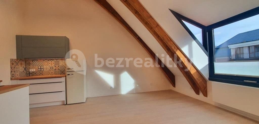 1 bedroom with open-plan kitchen flat to rent, 46 m², Na Vidouli, Prague, Prague 1 bedroom with open-plan kitchen flat to rent, 46 m², Na Vidouli, Prague, Prague