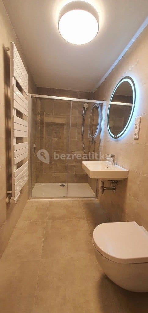 1 bedroom with open-plan kitchen flat to rent, 46 m², Na Vidouli, Prague, Prague 1 bedroom with open-plan kitchen flat to rent, 46 m², Na Vidouli, Prague, Prague