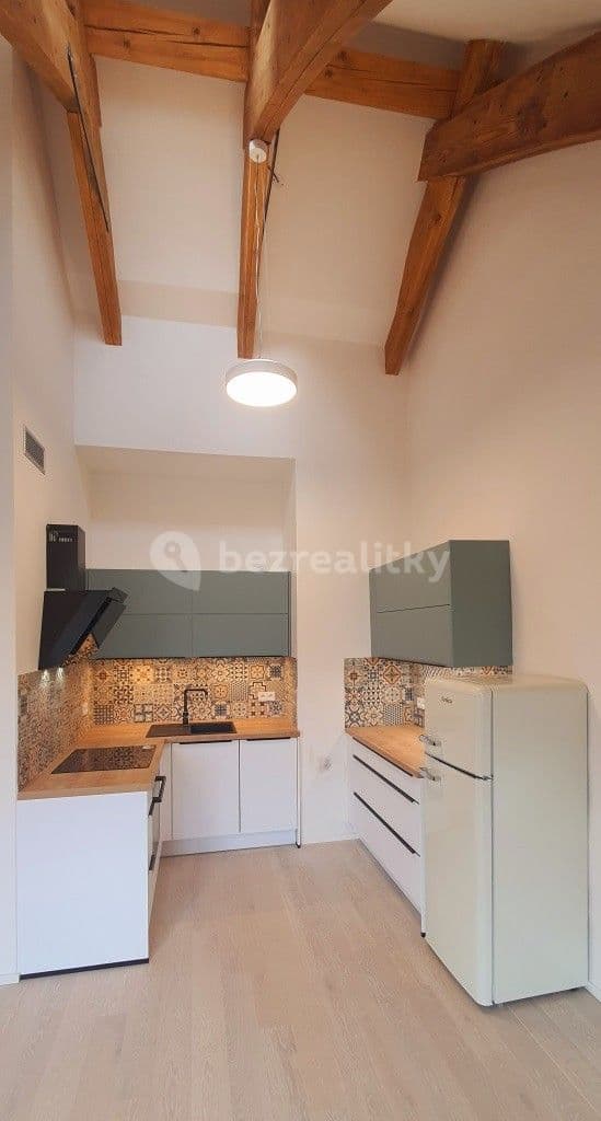 1 bedroom with open-plan kitchen flat to rent, 46 m², Na Vidouli, Prague, Prague 1 bedroom with open-plan kitchen flat to rent, 46 m², Na Vidouli, Prague, Prague