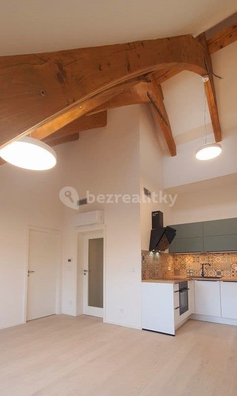 1 bedroom with open-plan kitchen flat to rent, 46 m², Na Vidouli, Prague, Prague 1 bedroom with open-plan kitchen flat to rent, 46 m², Na Vidouli, Prague, Prague