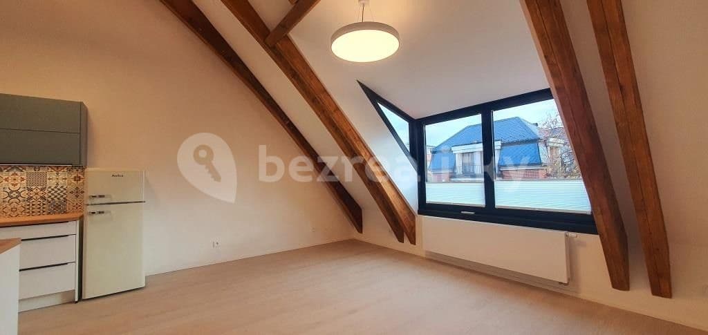 1 bedroom with open-plan kitchen flat to rent, 46 m², Na Vidouli, Prague, Prague 1 bedroom with open-plan kitchen flat to rent, 46 m², Na Vidouli, Prague, Prague