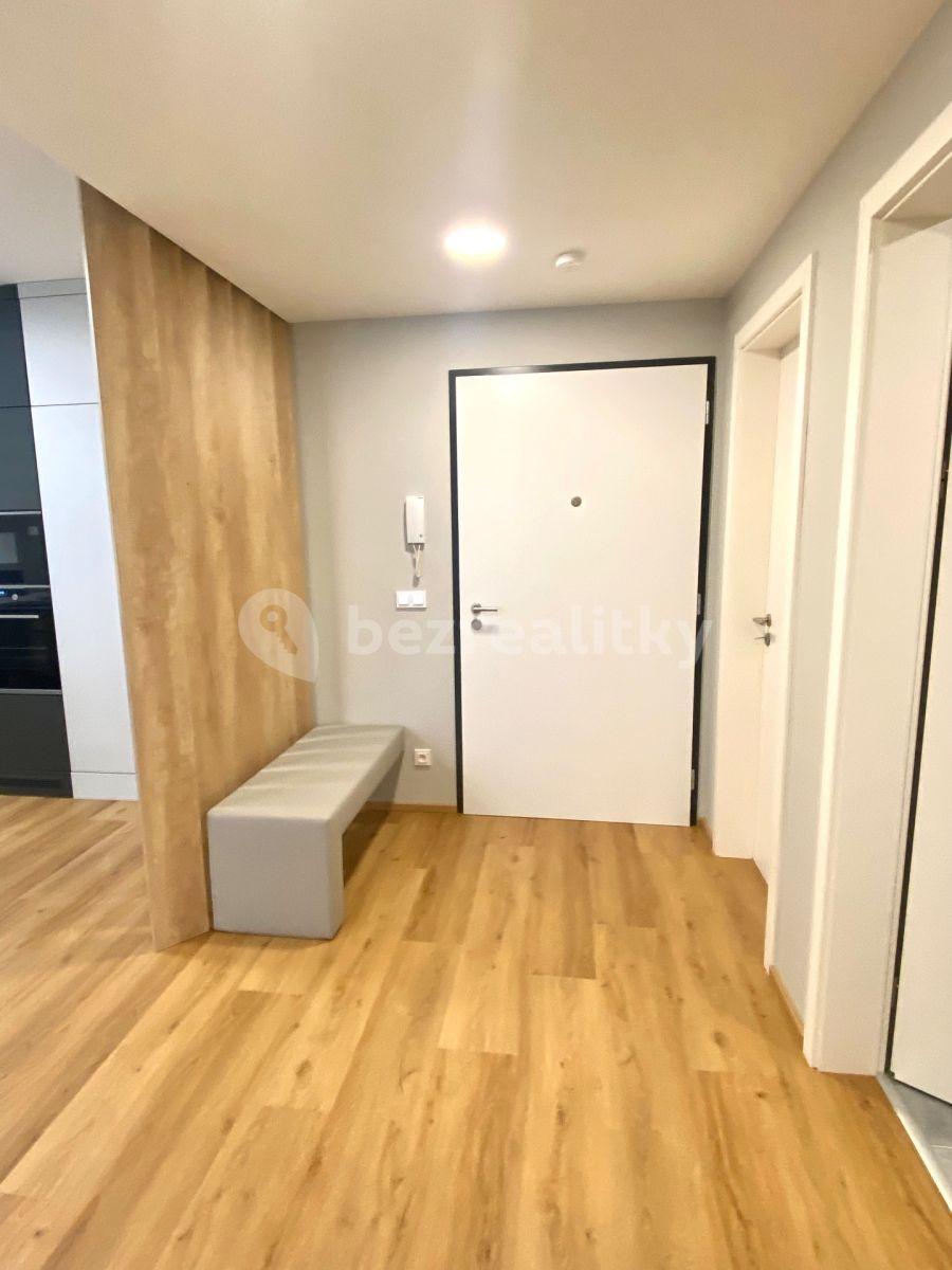 1 bedroom with open-plan kitchen flat to rent, 65 m², Mezi Vodami, Prague, Prague