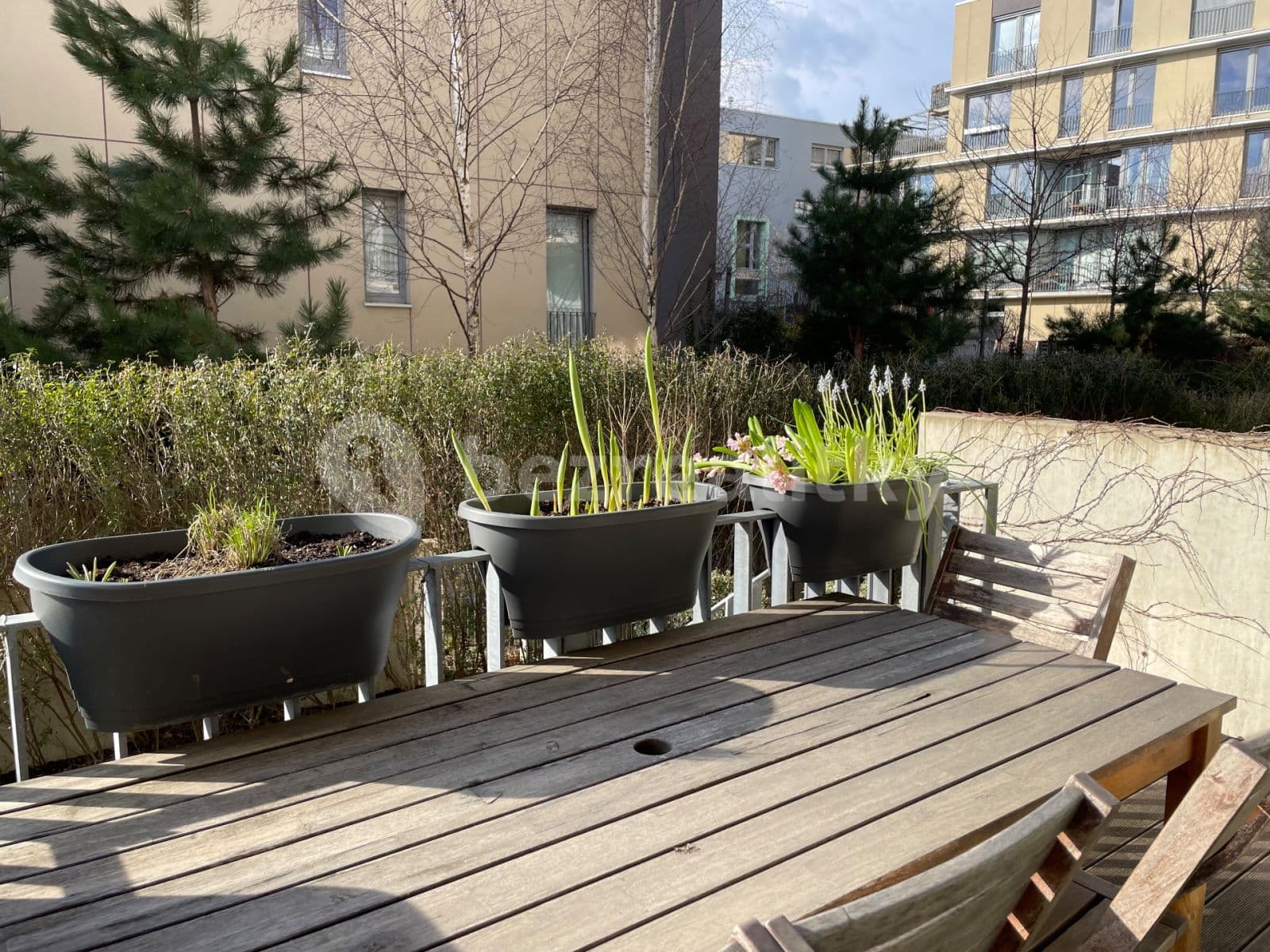 1 bedroom with open-plan kitchen flat to rent, 56 m², Na Vackově, Prague, Prague 1 bedroom with open-plan kitchen flat to rent, 56 m², Na Vackově, Prague, Prague