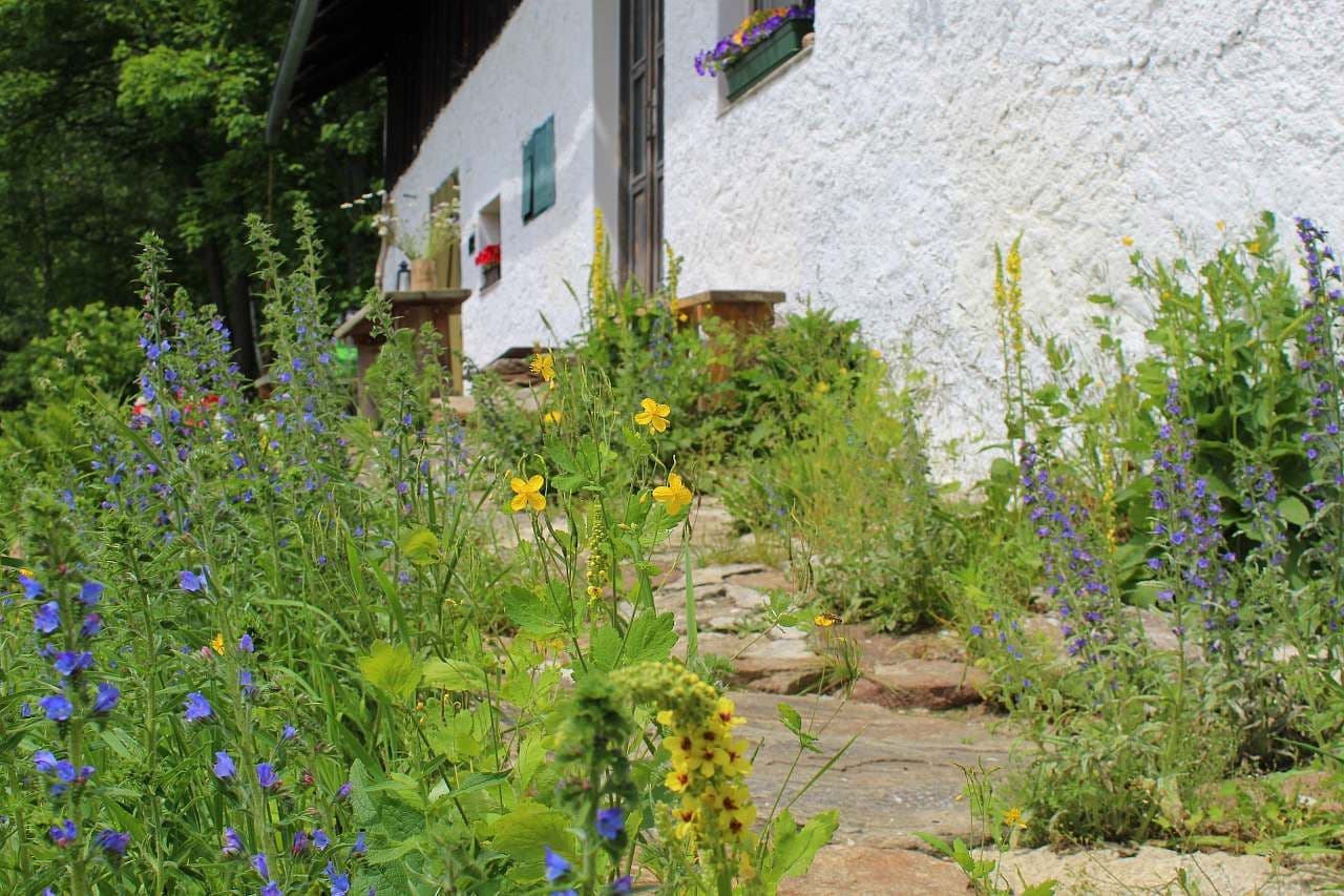 recreational property to rent, 0 m², Kašperské Hory, Plzeňský Region recreational property to rent, 0 m², Kašperské Hory, Plzeňský Region