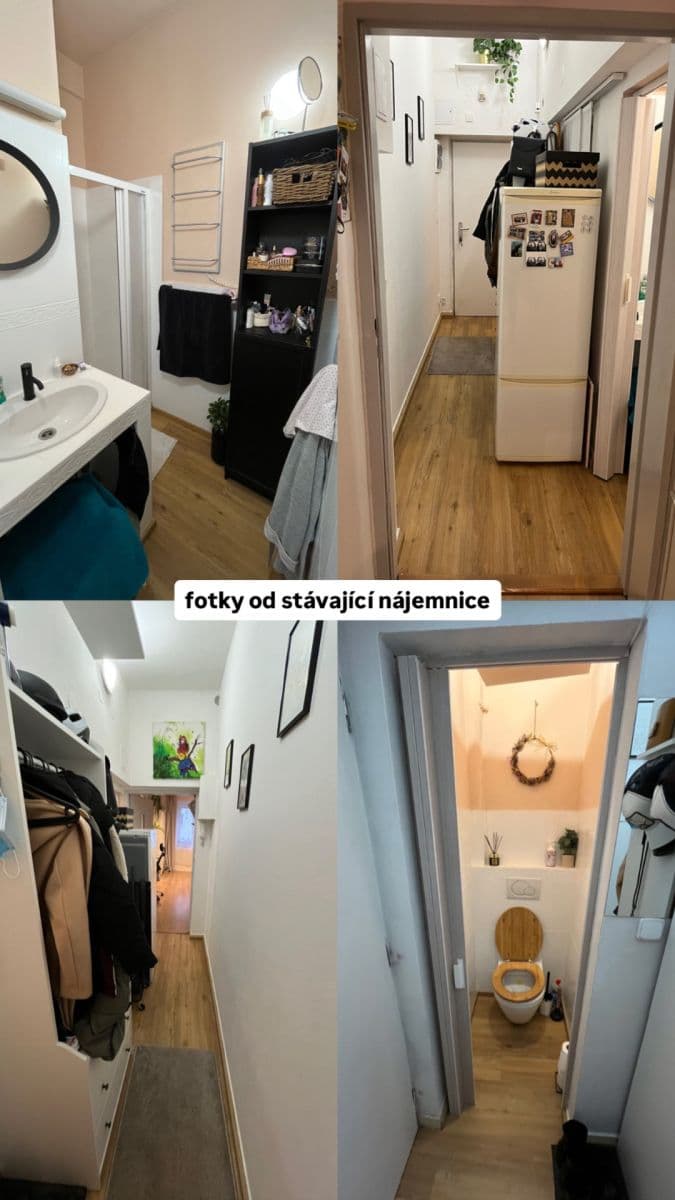 Studio flat to rent, 30 m², Biskupcova, Prague, Prague Studio flat to rent, 30 m², Biskupcova, Prague, Prague