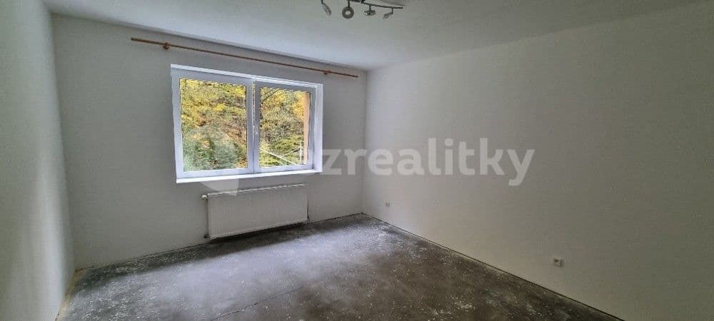 1 bedroom with open-plan kitchen flat for sale, 65 m², Merklín, Karlovarský Region