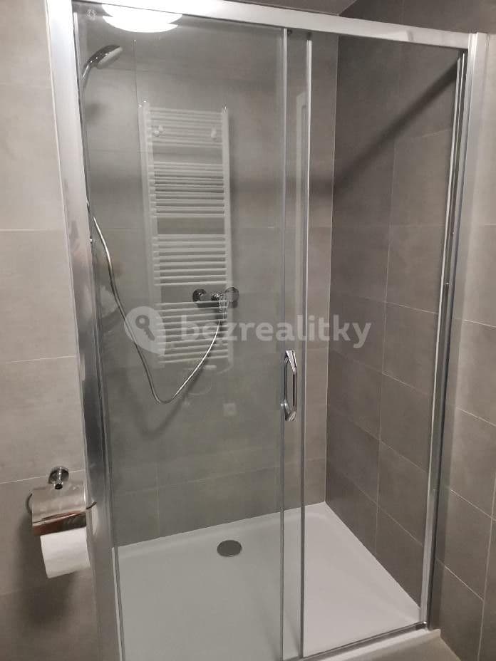1 bedroom with open-plan kitchen flat to rent, 54 m², K Jezeru, Prague, Prague 1 bedroom with open-plan kitchen flat to rent, 54 m², K Jezeru, Prague, Prague