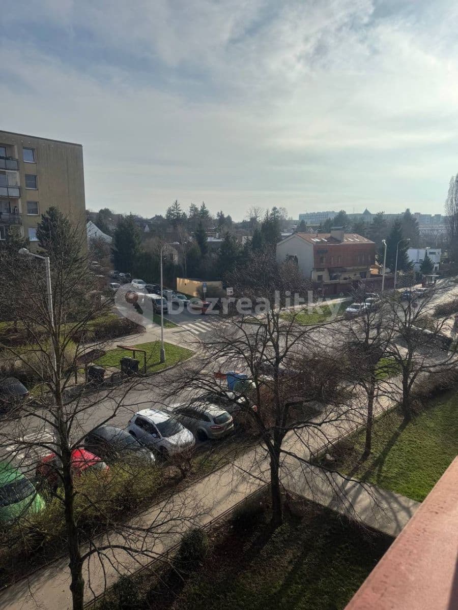 Studio flat to rent, 29 m², Voskovcova, Prague, Prague Studio flat to rent, 29 m², Voskovcova, Prague, Prague