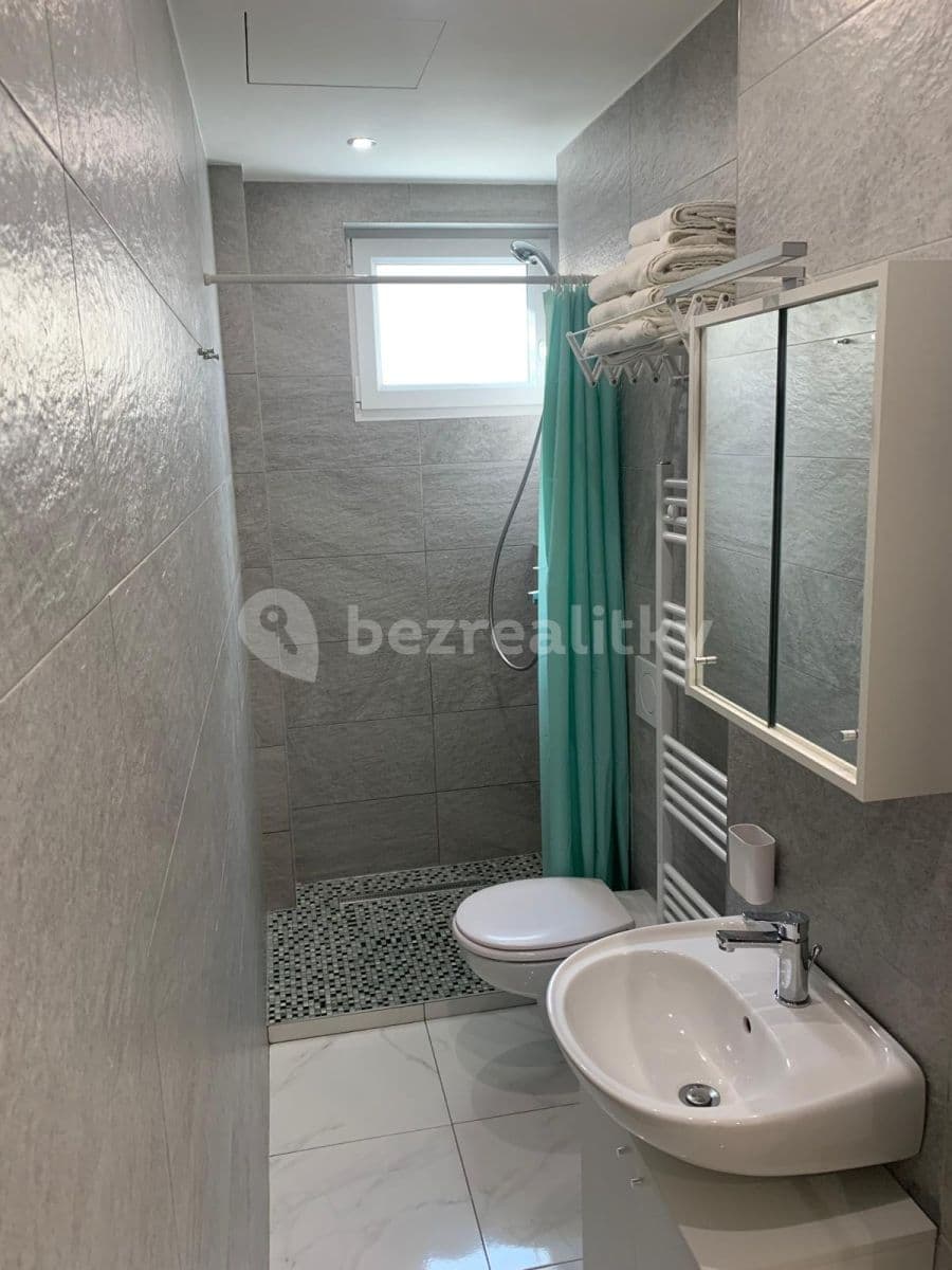 1 bedroom with open-plan kitchen flat to rent, 41 m², Svojsíkova, Prague, Prague 1 bedroom with open-plan kitchen flat to rent, 41 m², Svojsíkova, Prague, Prague