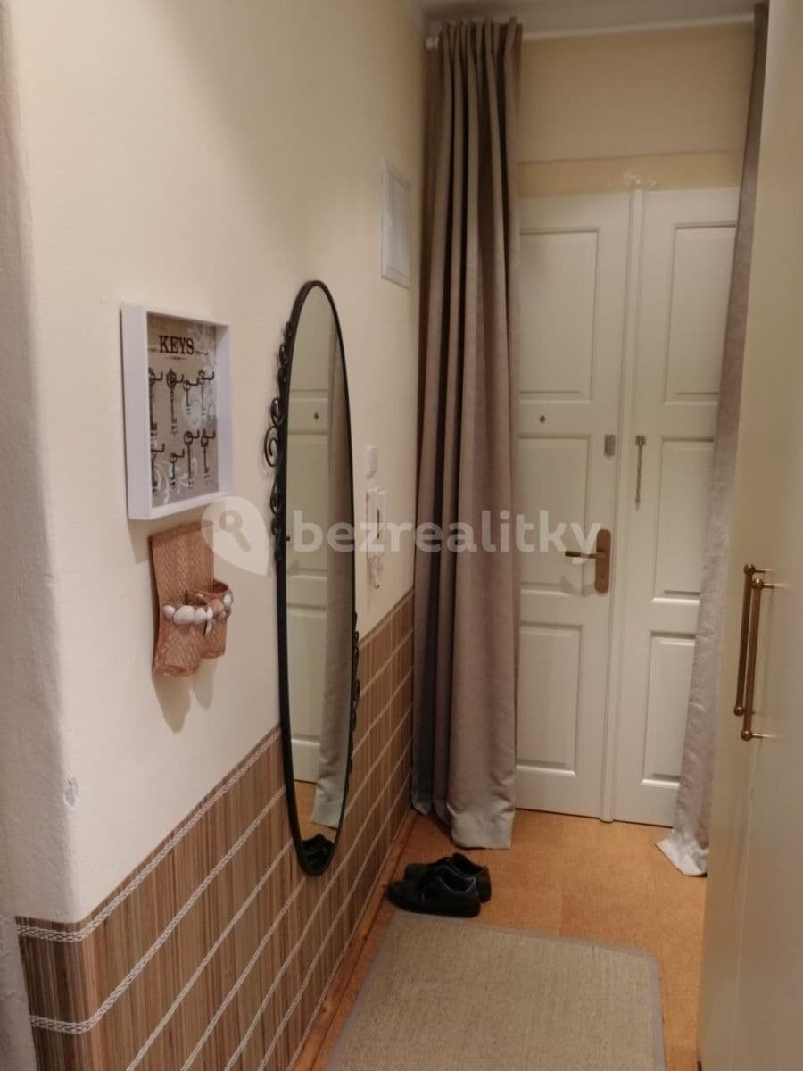 1 bedroom with open-plan kitchen flat to rent, 45 m², Přemyslova, Prague, Prague 1 bedroom with open-plan kitchen flat to rent, 45 m², Přemyslova, Prague, Prague