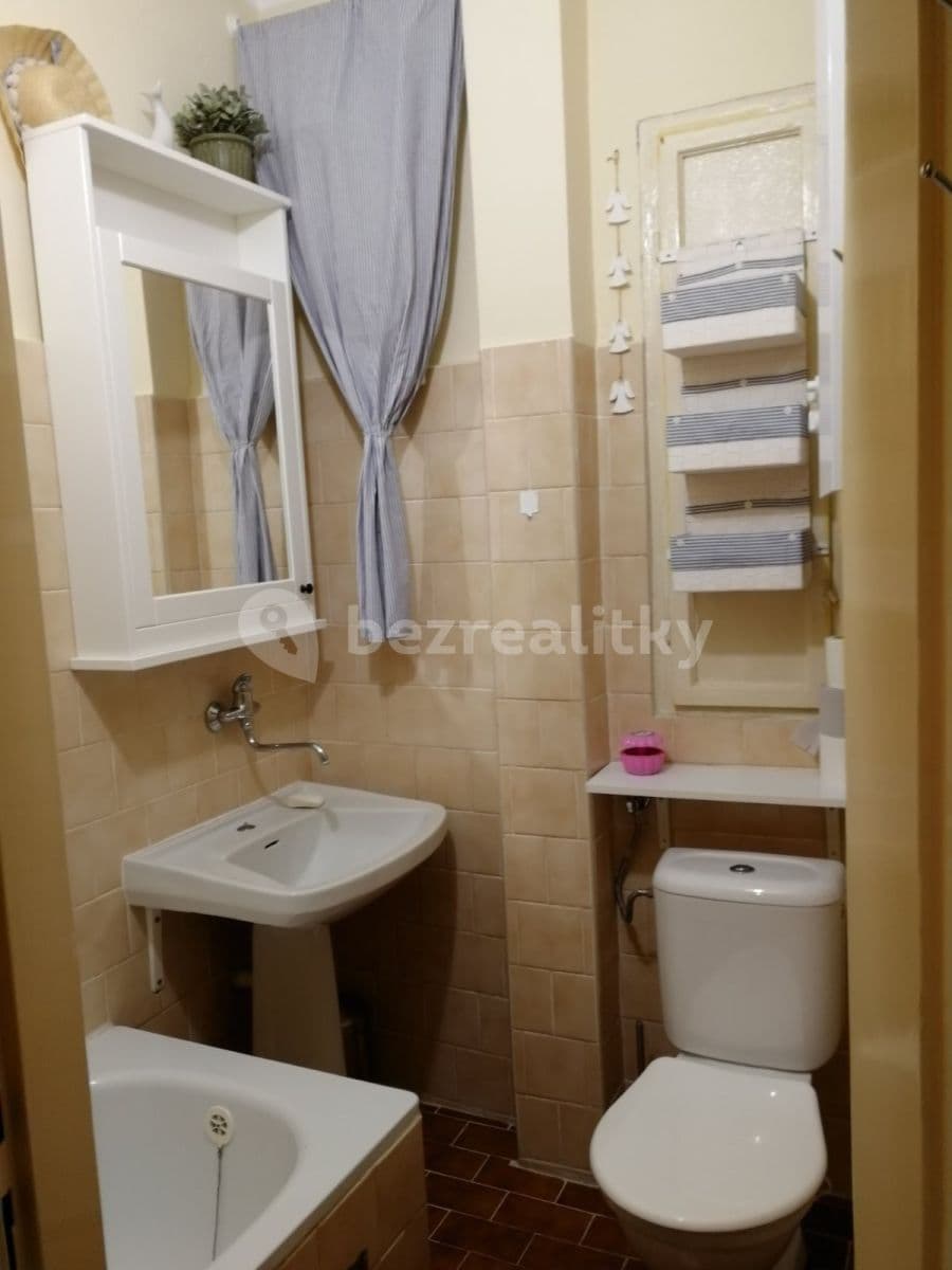 1 bedroom with open-plan kitchen flat to rent, 45 m², Přemyslova, Prague, Prague 1 bedroom with open-plan kitchen flat to rent, 45 m², Přemyslova, Prague, Prague