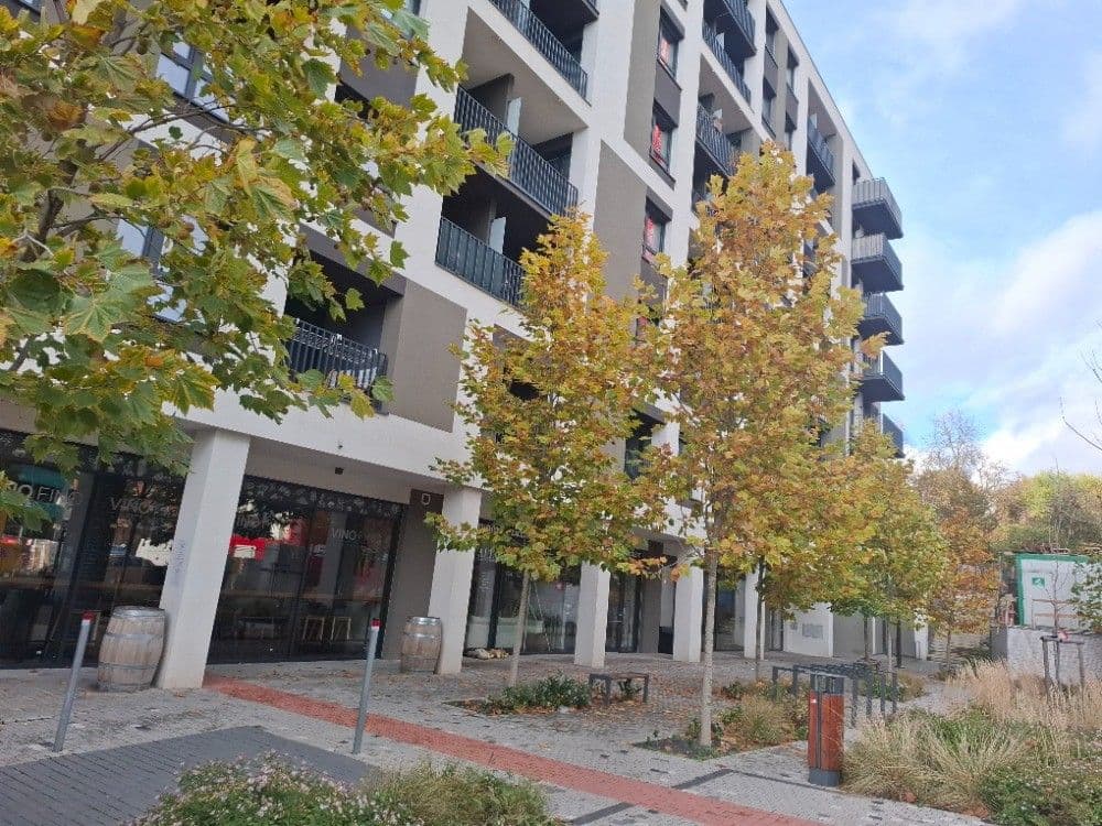 2 bedroom with open-plan kitchen flat to rent, 77 m², Olgy Havlové, Prague, Prague 2 bedroom with open-plan kitchen flat to rent, 77 m², Olgy Havlové, Prague, Prague