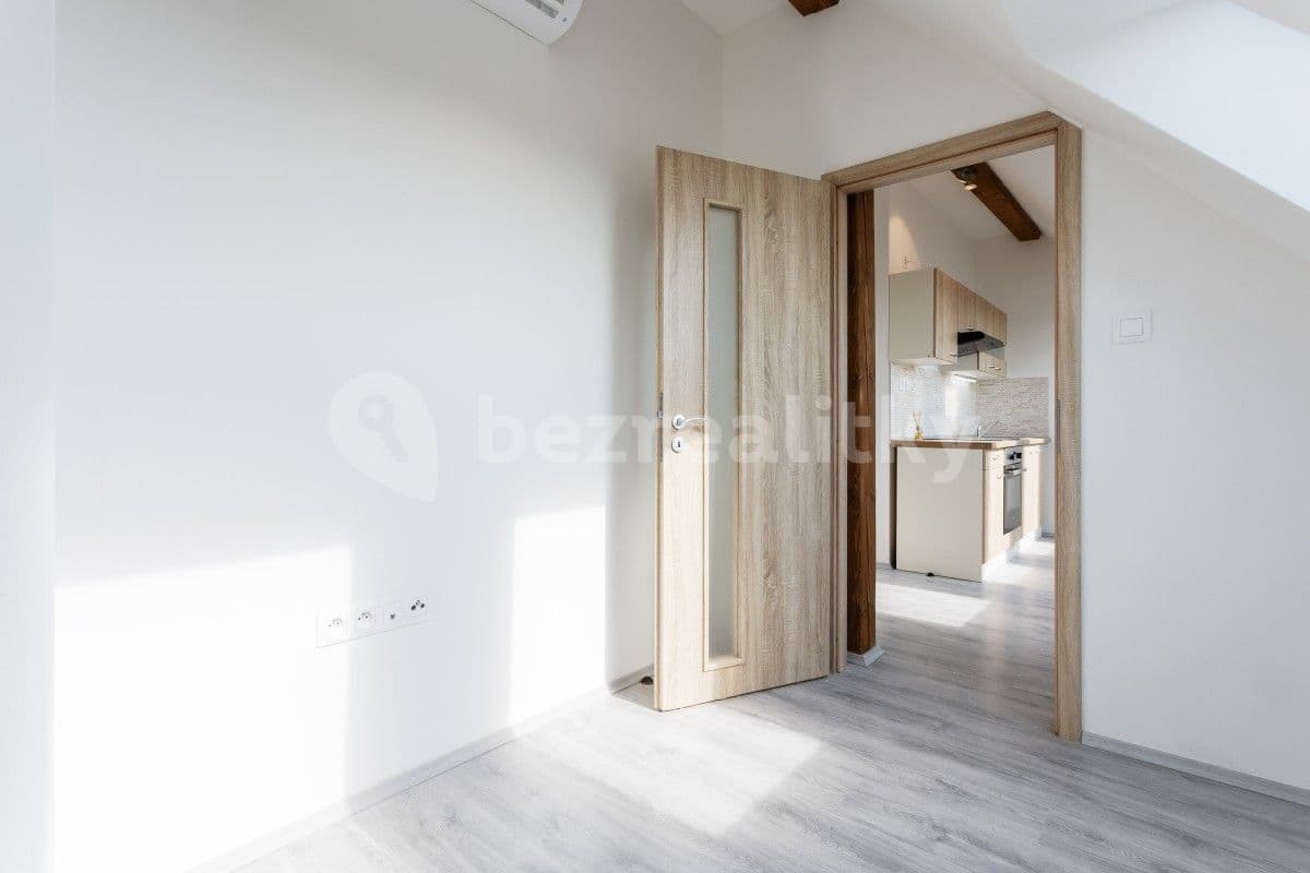 1 bedroom with open-plan kitchen flat to rent, 27 m², Davídkova, Prague, Prague
