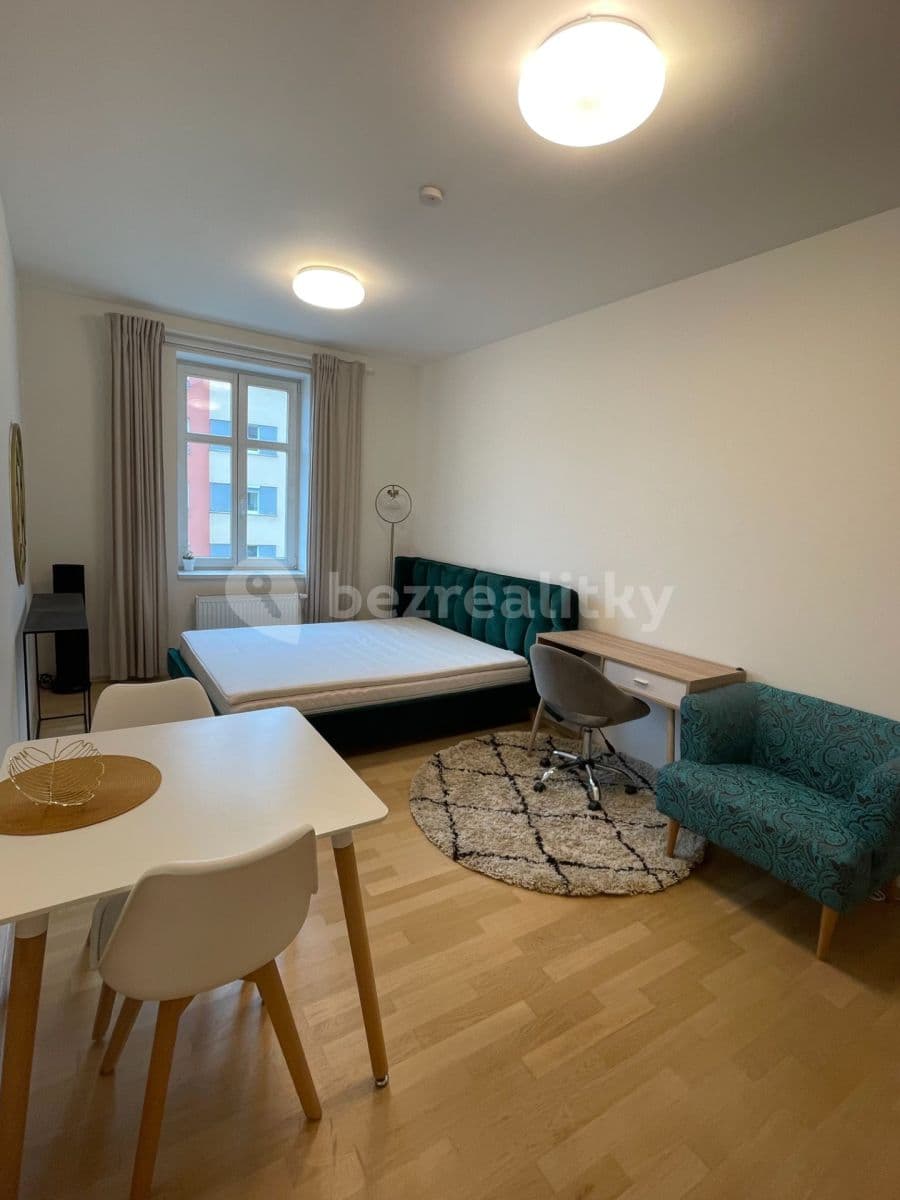 Studio flat to rent, 30 m², Plzeňská, Prague, Prague Studio flat to rent, 30 m², Plzeňská, Prague, Prague