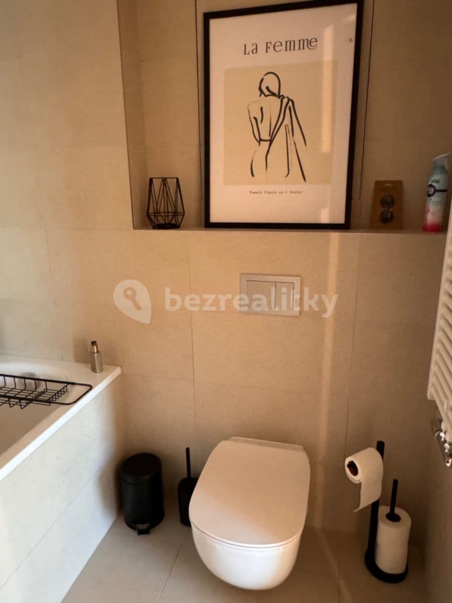 1 bedroom with open-plan kitchen flat to rent, 52 m², V Náklích, Prague, Prague 1 bedroom with open-plan kitchen flat to rent, 52 m², V Náklích, Prague, Prague