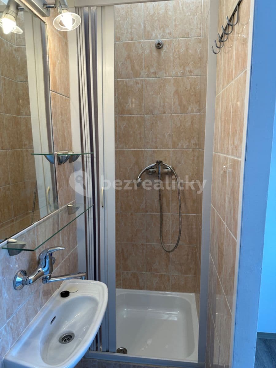 Studio flat to rent, 15 m², Náplavka, Brno, Jihomoravský Region Studio flat to rent, 15 m², Náplavka, Brno, Jihomoravský Region