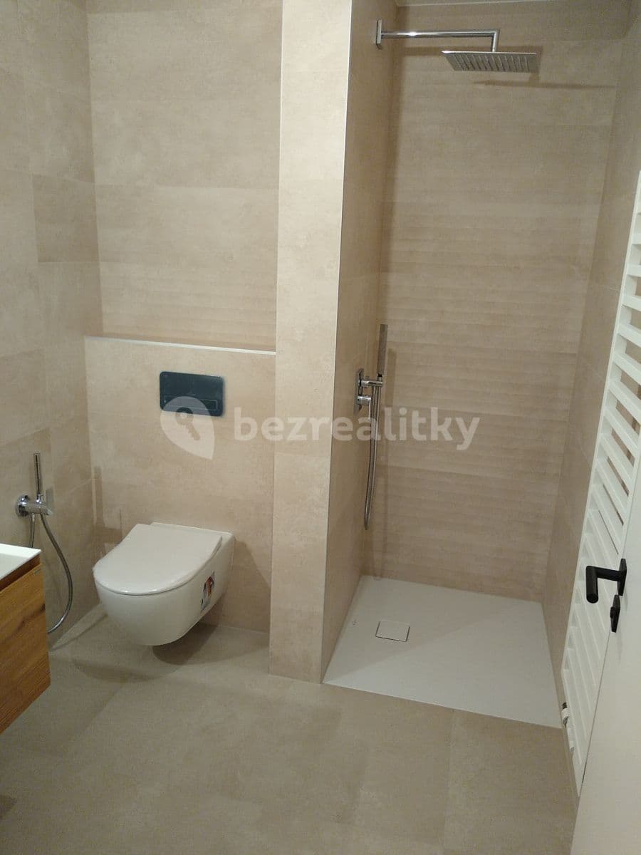 1 bedroom with open-plan kitchen flat to rent, 55 m², U Petřin, Prague, Prague 1 bedroom with open-plan kitchen flat to rent, 55 m², U Petřin, Prague, Prague