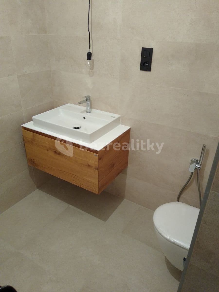 1 bedroom with open-plan kitchen flat to rent, 55 m², U Petřin, Prague, Prague 1 bedroom with open-plan kitchen flat to rent, 55 m², U Petřin, Prague, Prague