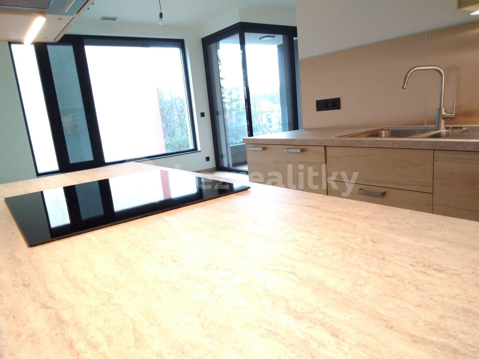 1 bedroom with open-plan kitchen flat to rent, 55 m², U Petřin, Prague, Prague 1 bedroom with open-plan kitchen flat to rent, 55 m², U Petřin, Prague, Prague