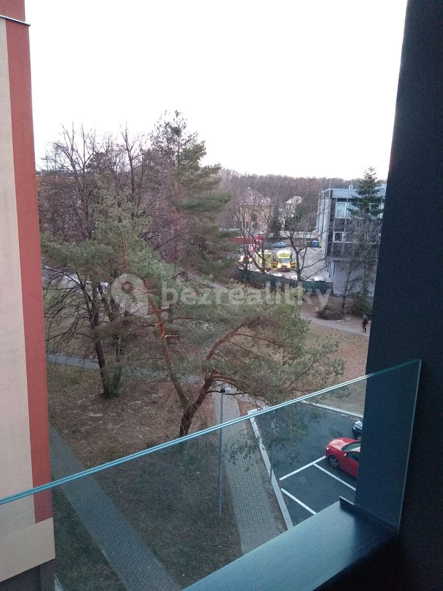 1 bedroom with open-plan kitchen flat to rent, 55 m², U Petřin, Prague, Prague 1 bedroom with open-plan kitchen flat to rent, 55 m², U Petřin, Prague, Prague