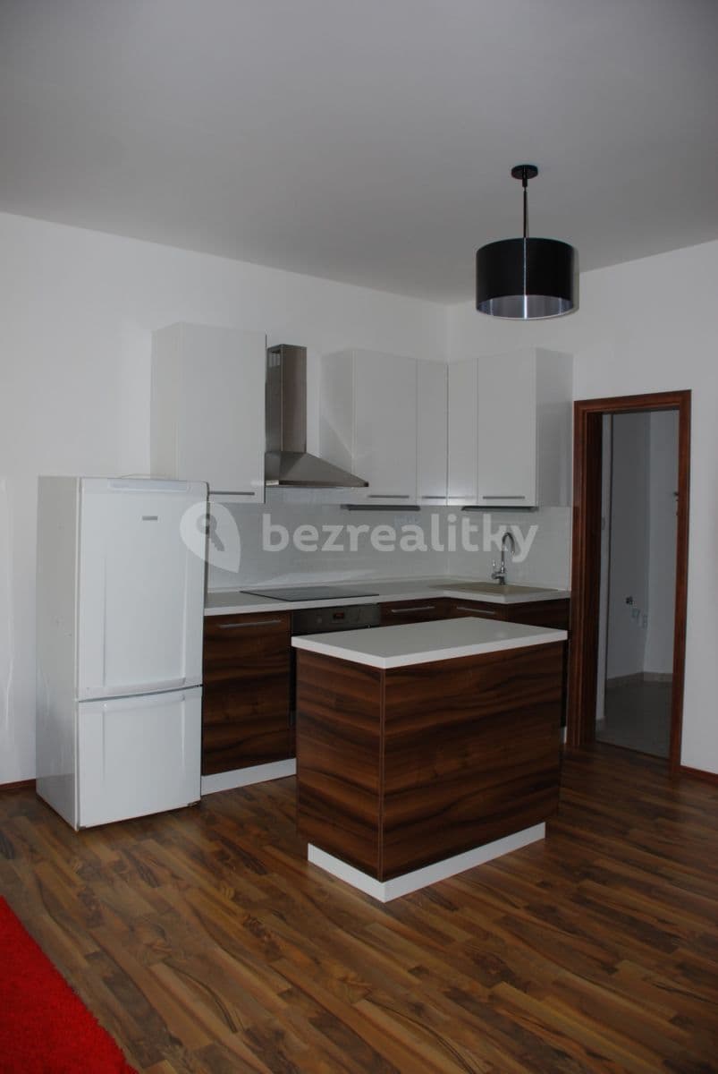 1 bedroom with open-plan kitchen flat to rent, 50 m², Sokolovská, Prague, Prague 1 bedroom with open-plan kitchen flat to rent, 50 m², Sokolovská, Prague, Prague