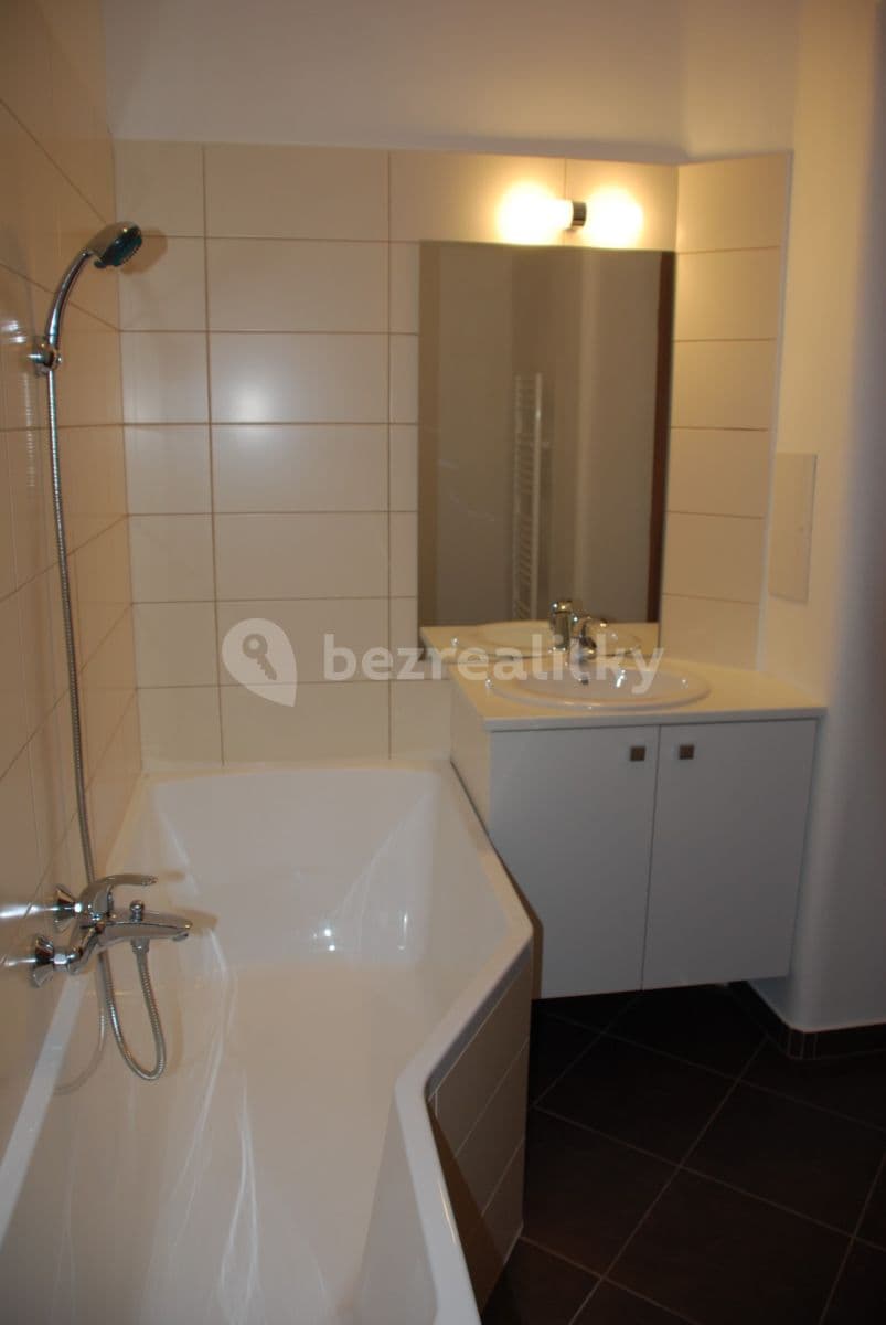 1 bedroom with open-plan kitchen flat to rent, 50 m², Sokolovská, Prague, Prague 1 bedroom with open-plan kitchen flat to rent, 50 m², Sokolovská, Prague, Prague
