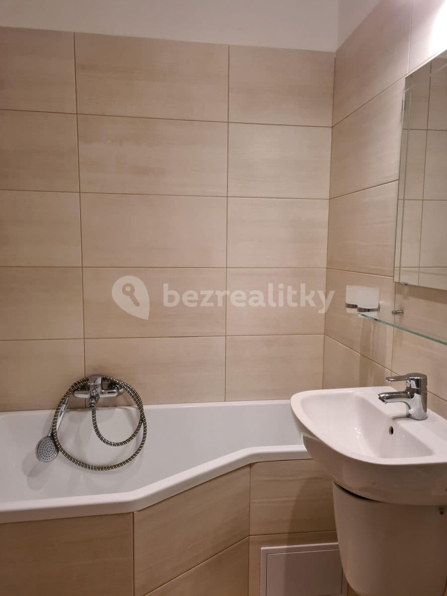 1 bedroom with open-plan kitchen flat to rent, 49 m², Malešická, Prague, Prague 1 bedroom with open-plan kitchen flat to rent, 49 m², Malešická, Prague, Prague
