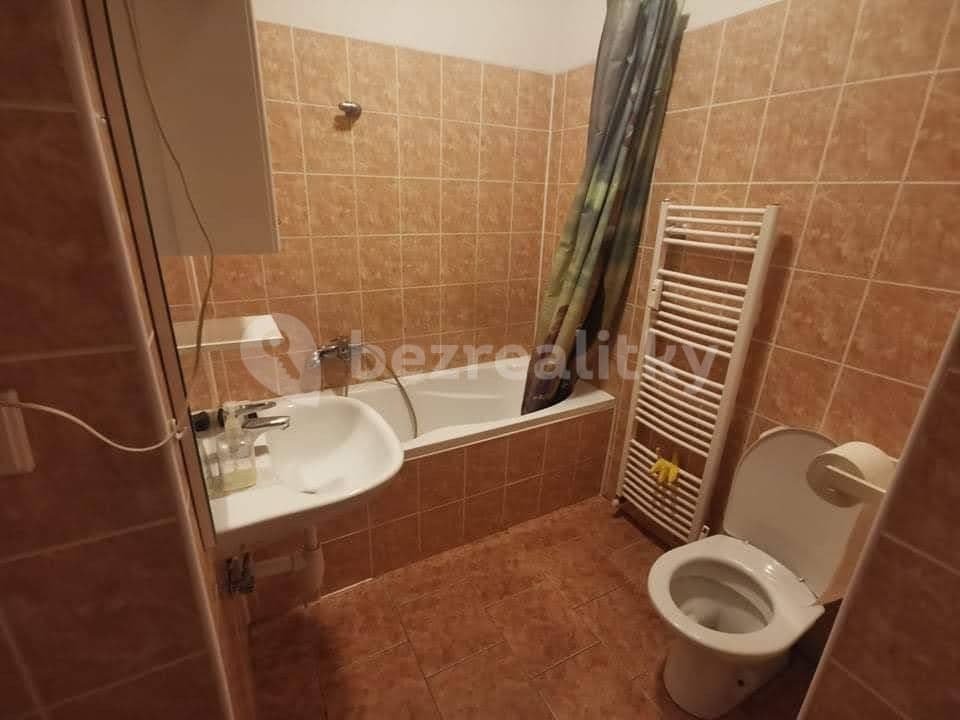 1 bedroom with open-plan kitchen flat to rent, 48 m², vlhká, Brno, Jihomoravský Region 1 bedroom with open-plan kitchen flat to rent, 48 m², vlhká, Brno, Jihomoravský Region