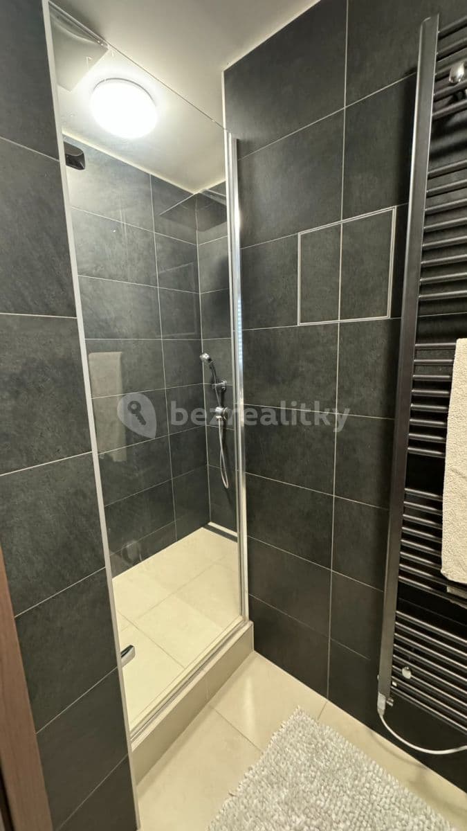 1 bedroom with open-plan kitchen flat to rent, 61 m², Nekvasilova, Prague, Prague 1 bedroom with open-plan kitchen flat to rent, 61 m², Nekvasilova, Prague, Prague