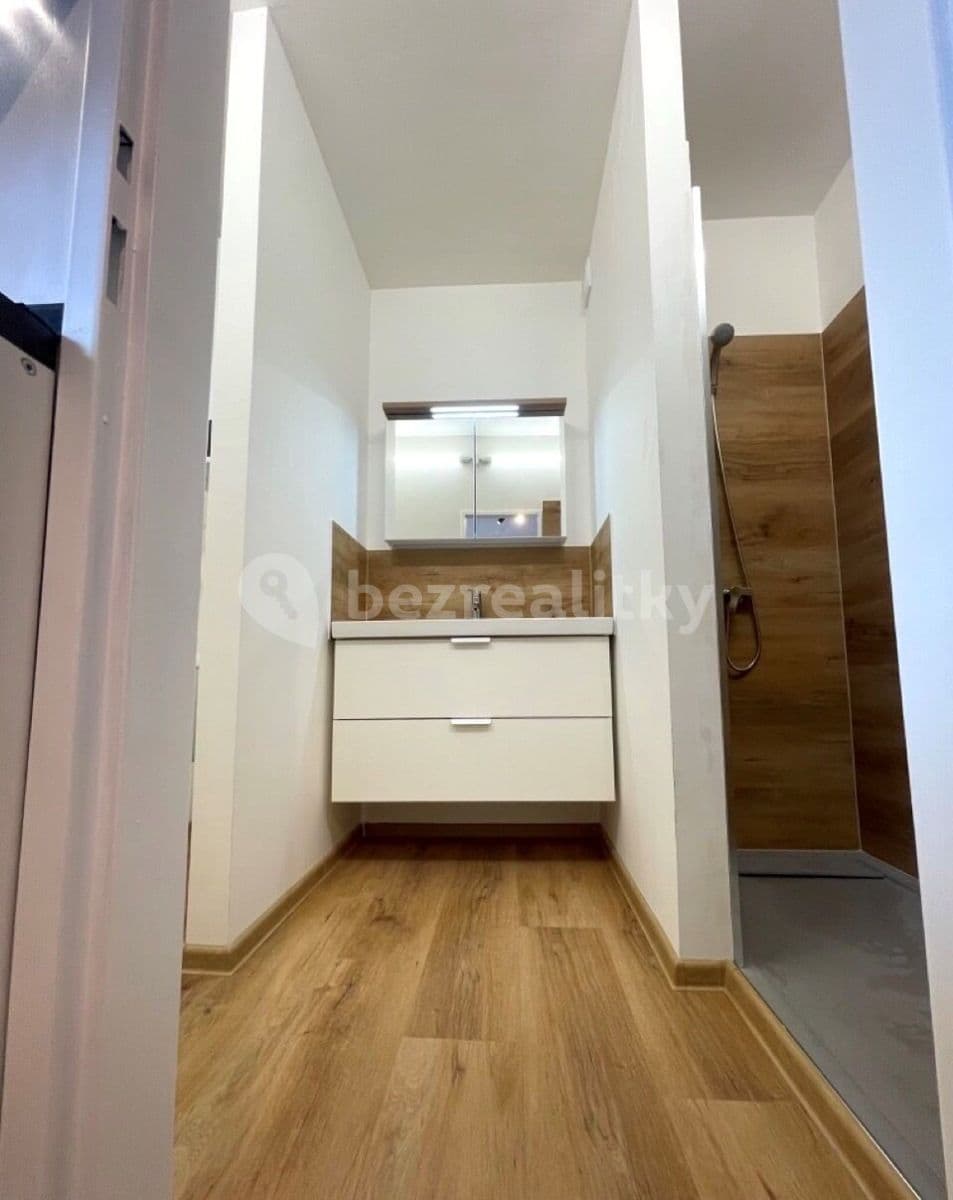 1 bedroom with open-plan kitchen flat to rent, 48 m², Geislerova, Brno, Jihomoravský Region