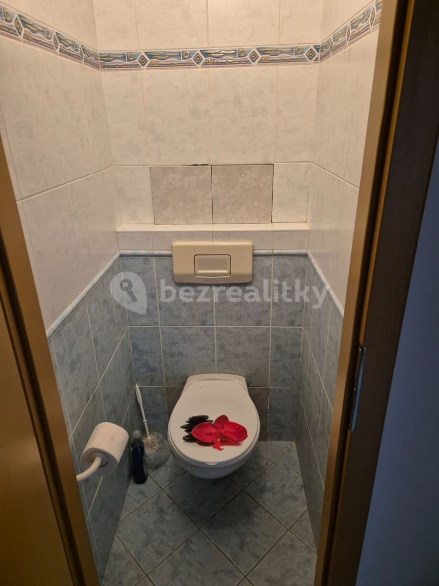 1 bedroom with open-plan kitchen flat to rent, 38 m², Olštýnská, Prague, Prague 1 bedroom with open-plan kitchen flat to rent, 38 m², Olštýnská, Prague, Prague