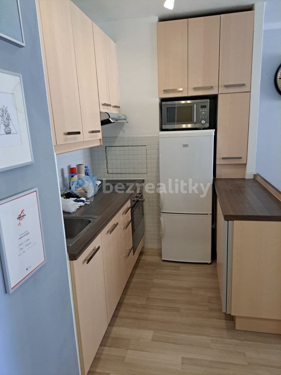 1 bedroom with open-plan kitchen flat to rent, 40 m², Svojetická, Prague, Prague 1 bedroom with open-plan kitchen flat to rent, 40 m², Svojetická, Prague, Prague