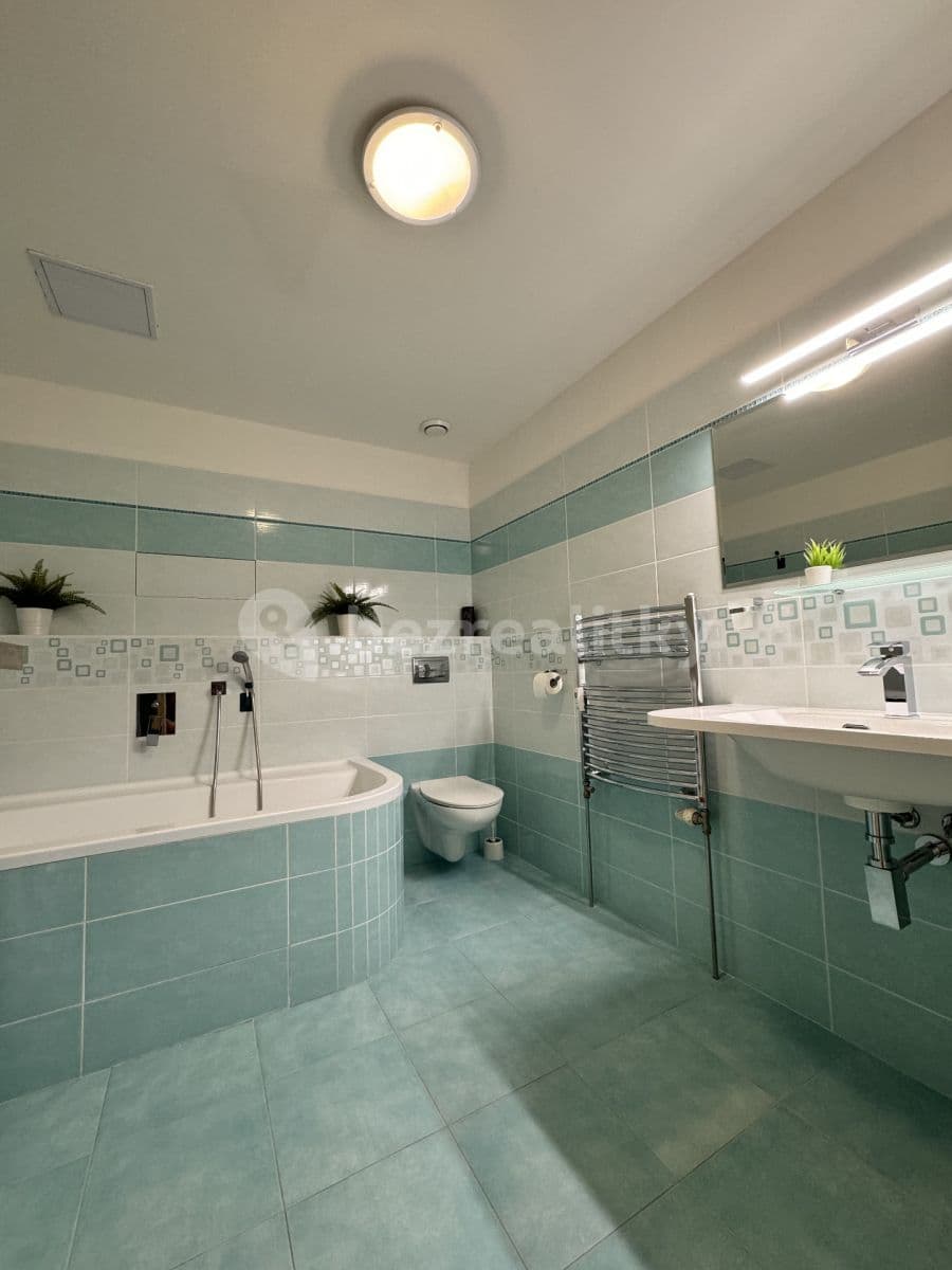 1 bedroom with open-plan kitchen flat to rent, 52 m², Černická, Plzeň, Plzeňský Region 1 bedroom with open-plan kitchen flat to rent, 52 m², Černická, Plzeň, Plzeňský Region