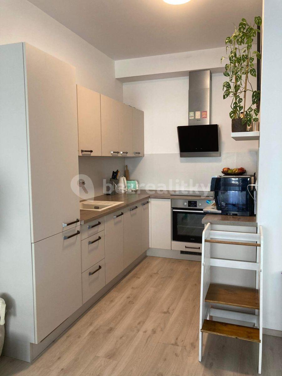 1 bedroom with open-plan kitchen flat for sale, 61 m², Nepomuckých, Prague, Prague