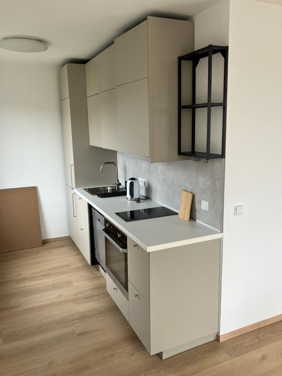 1 bedroom with open-plan kitchen flat to rent, 50 m², Kubíkova, Prague, Prague 1 bedroom with open-plan kitchen flat to rent, 50 m², Kubíkova, Prague, Prague