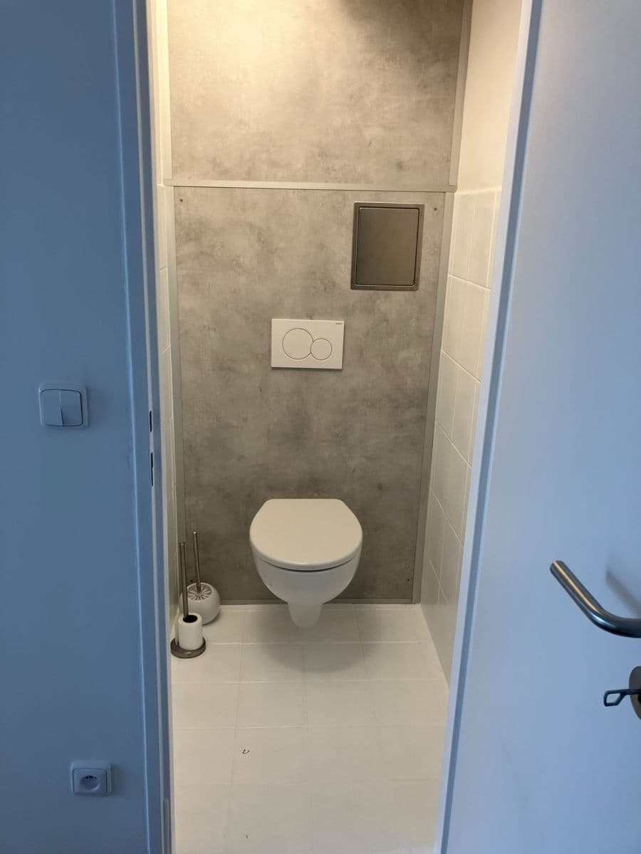 1 bedroom with open-plan kitchen flat to rent, 50 m², Kubíkova, Prague, Prague 1 bedroom with open-plan kitchen flat to rent, 50 m², Kubíkova, Prague, Prague