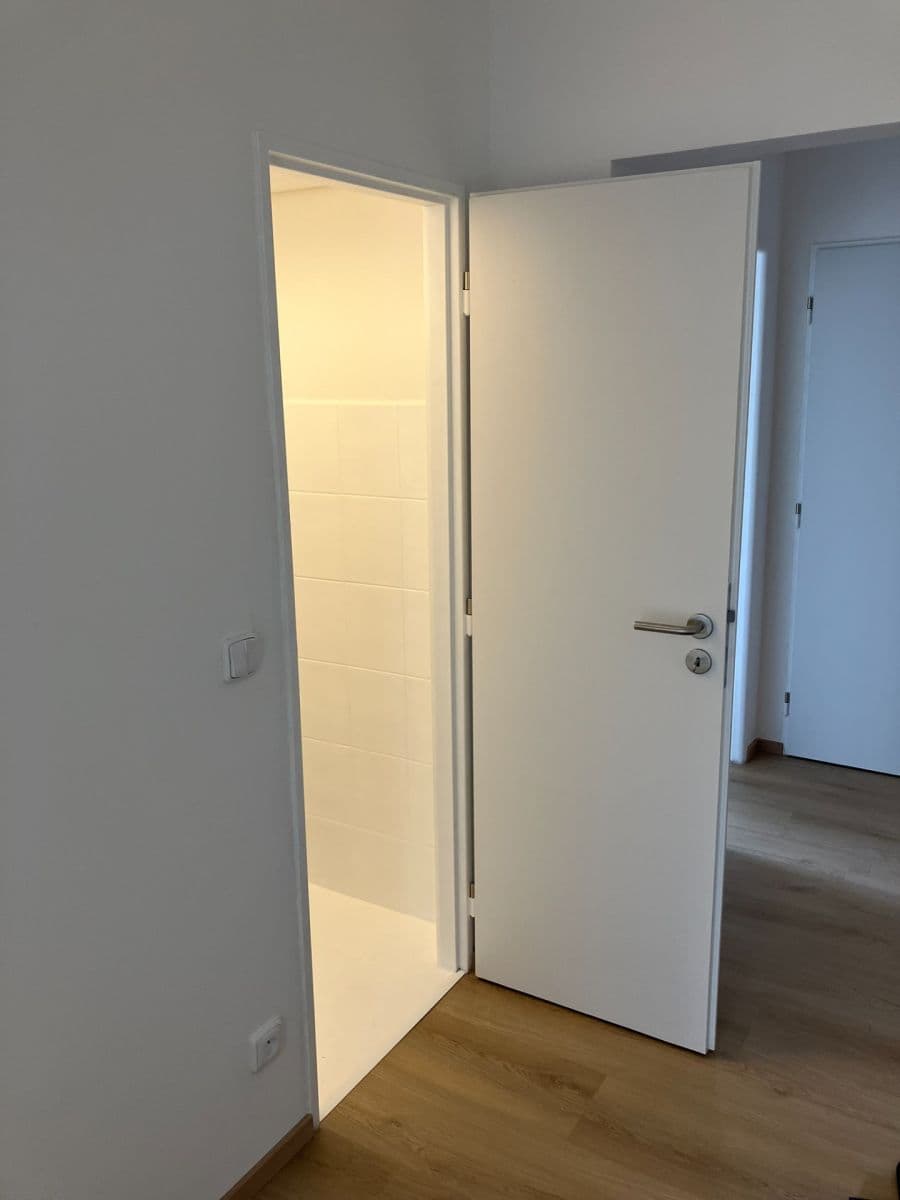 1 bedroom with open-plan kitchen flat to rent, 50 m², Kubíkova, Prague, Prague 1 bedroom with open-plan kitchen flat to rent, 50 m², Kubíkova, Prague, Prague