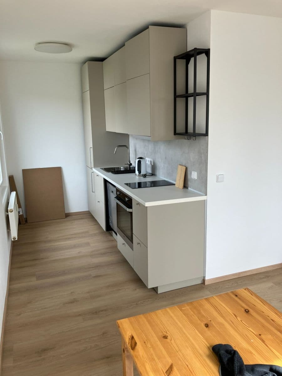 1 bedroom with open-plan kitchen flat to rent, 50 m², Kubíkova, Prague, Prague 1 bedroom with open-plan kitchen flat to rent, 50 m², Kubíkova, Prague, Prague