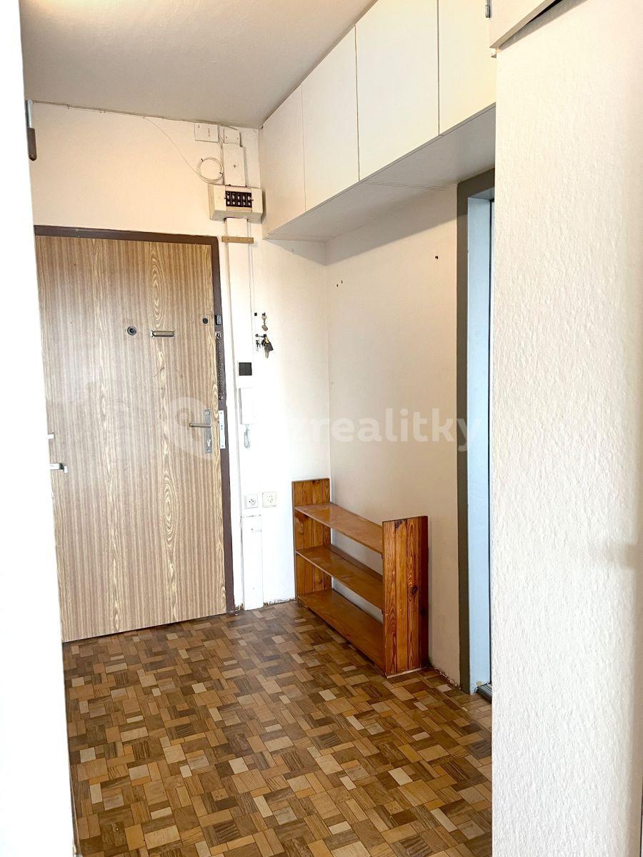 2 bedroom with open-plan kitchen flat to rent, 65 m², Prague, Prague