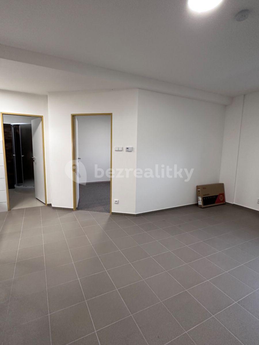 1 bedroom with open-plan kitchen flat to rent, 50 m², Orlická, Mnichovo Hradiště, Středočeský Region
