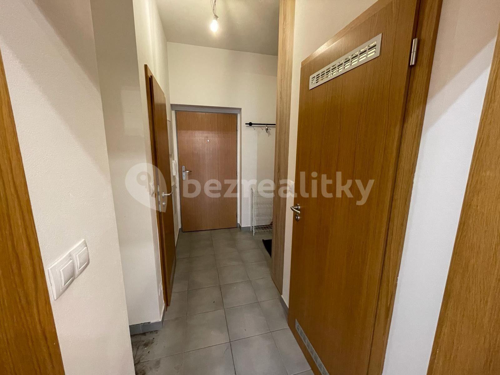 1 bedroom with open-plan kitchen flat to rent, 56 m², Nepomuckých, Prague, Prague