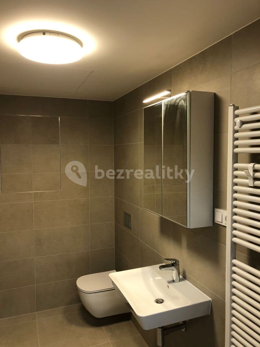 1 bedroom with open-plan kitchen flat to rent, 50 m², V Náklích, Prague, Prague 1 bedroom with open-plan kitchen flat to rent, 50 m², V Náklích, Prague, Prague