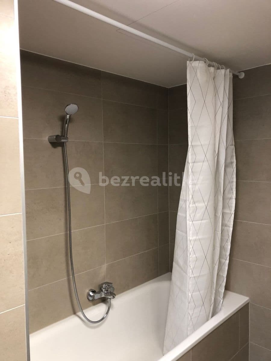 1 bedroom with open-plan kitchen flat to rent, 50 m², V Náklích, Prague, Prague 1 bedroom with open-plan kitchen flat to rent, 50 m², V Náklích, Prague, Prague