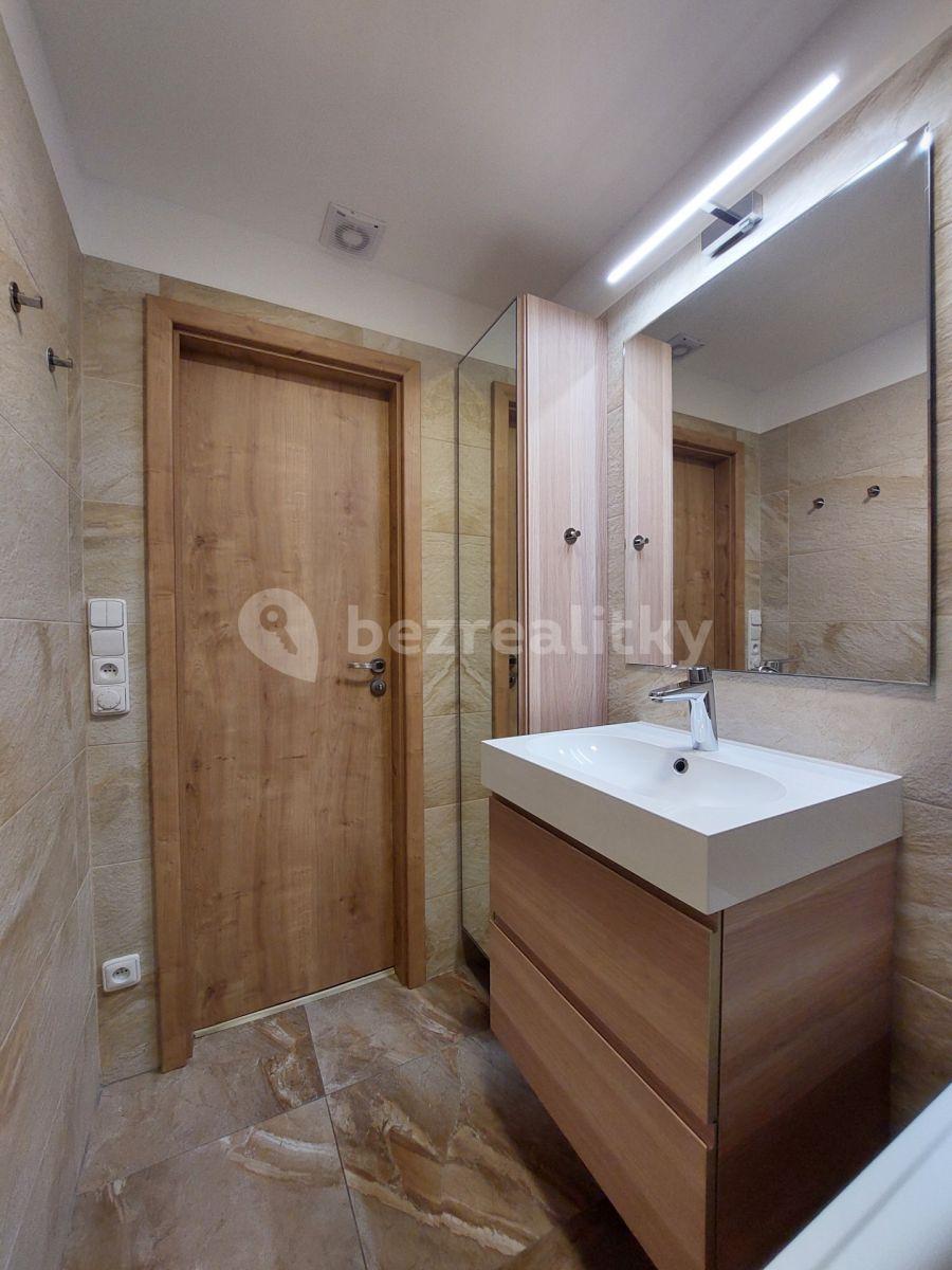 1 bedroom with open-plan kitchen flat to rent, 43 m², Ciolkovského, Prague, Prague