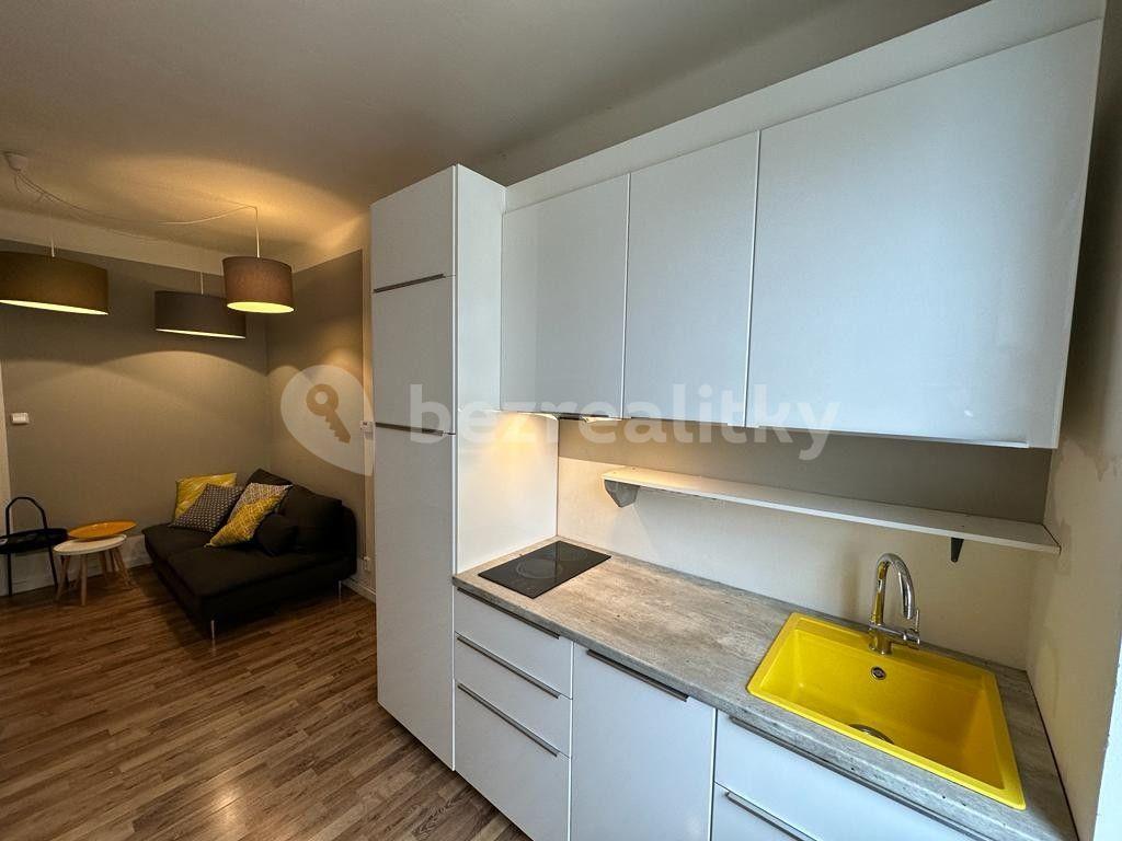1 bedroom with open-plan kitchen flat to rent, 45 m², Světova, Prague, Prague